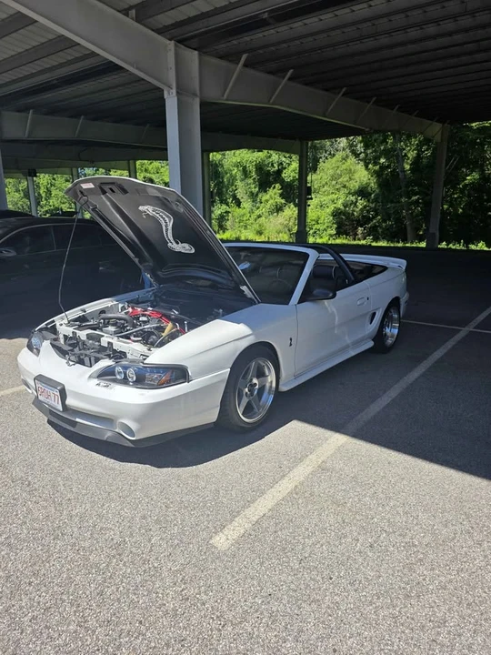 1994 Ford SN95 Mustang Cobra - Image 2 of 4