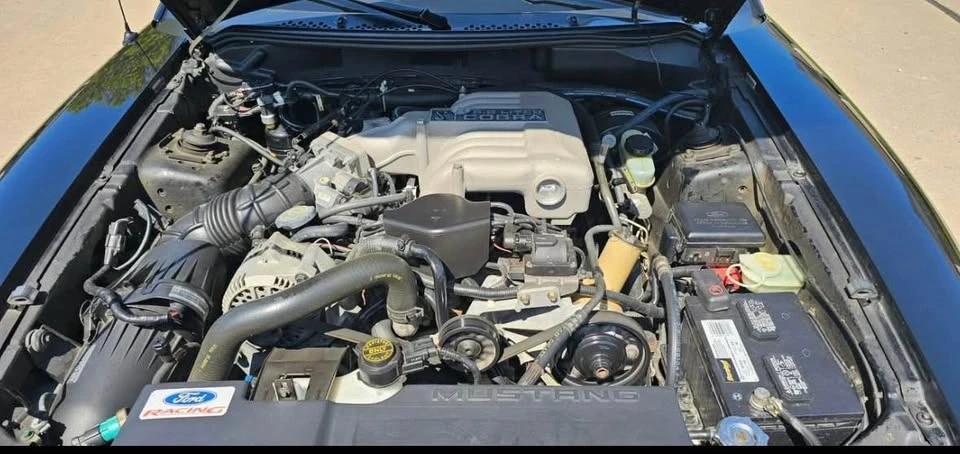 1994 Ford SN95 Mustang Cobra - Image 5 of 10