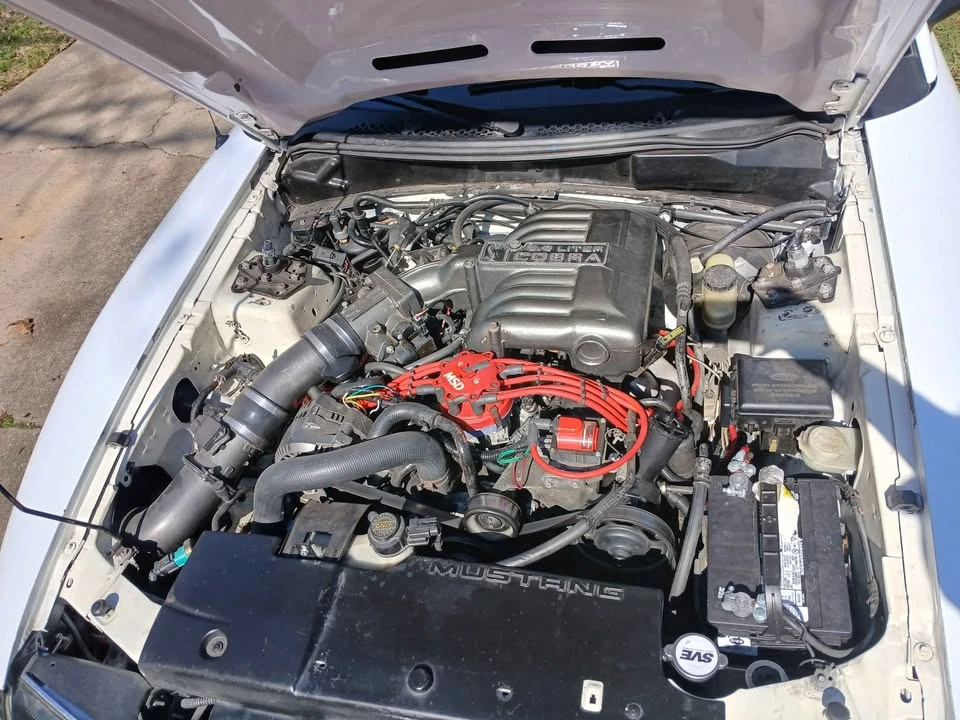 1994 Ford SN95 Mustang Cobra - Image 7 of 13