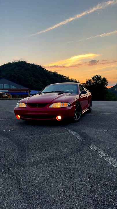 1994 Ford SN95 Mustang Cobra - Image 4 of 7