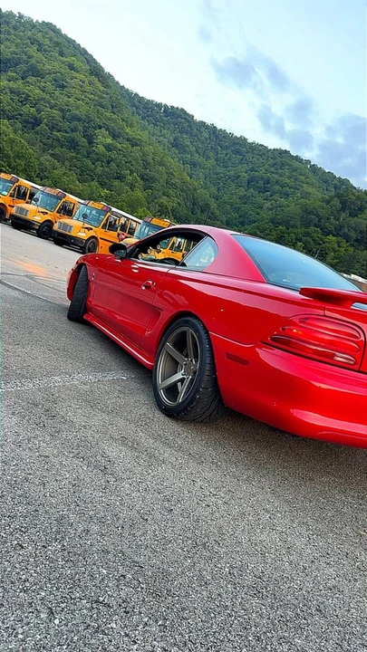 1994 Ford SN95 Mustang Cobra - Image 3 of 7
