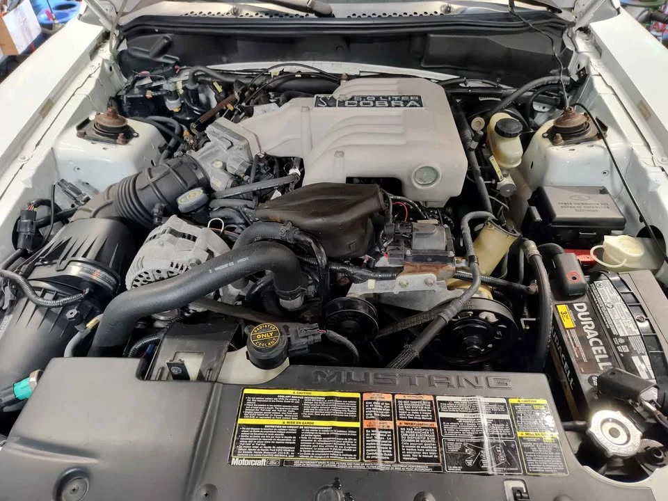 1994 Ford SN95 Mustang Cobra - Image 10 of 13