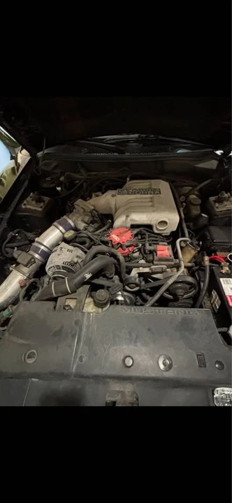 1994 Ford SN95 Mustang Cobra - Image 3 of 15