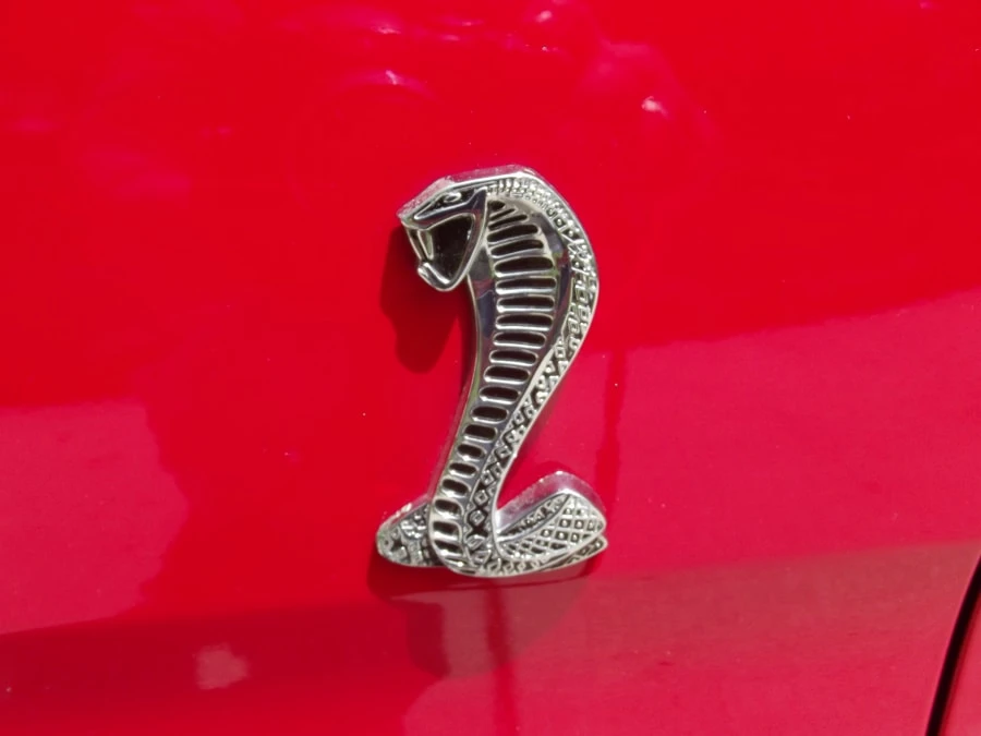1994 Ford SN95 Mustang Cobra - Image 6 of 8