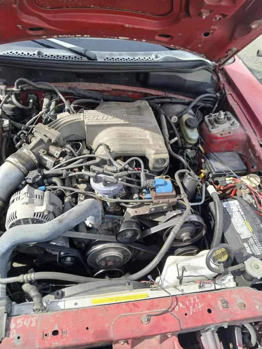 1994 Ford SN95 Mustang Cobra - Image 3 of 9
