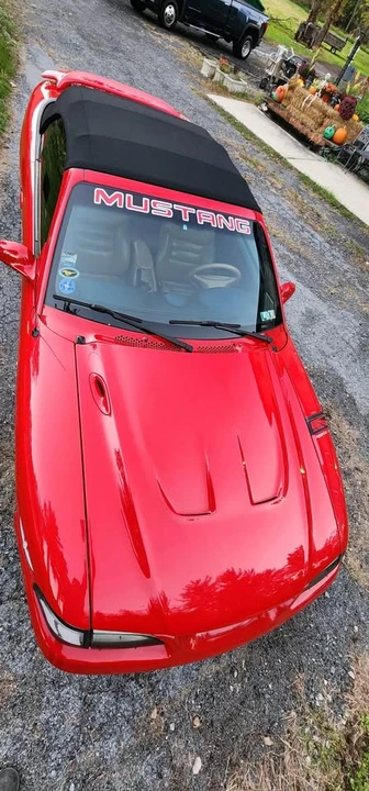 1994 Ford SN95 Mustang Cobra - Image 16 of 17