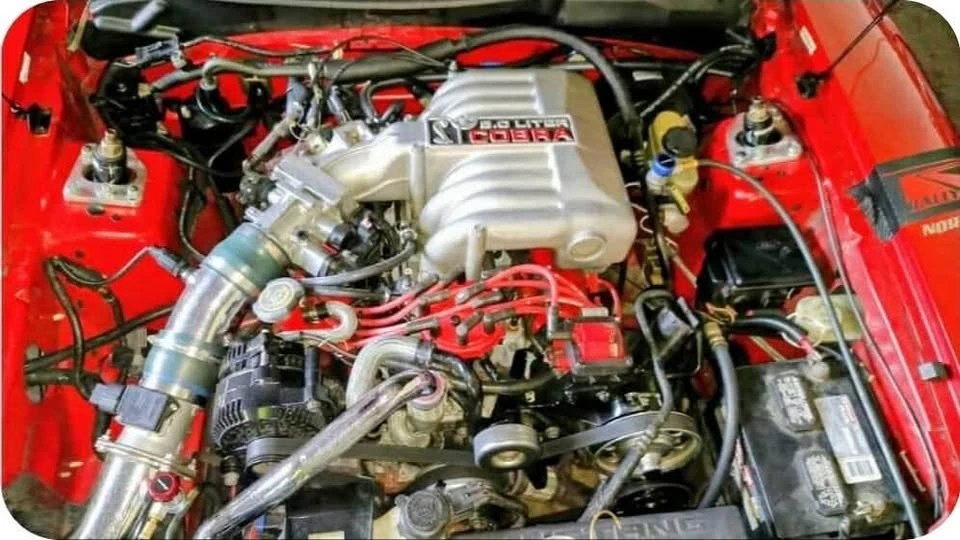 1994 Ford SN95 Mustang Cobra - Image 7 of 17