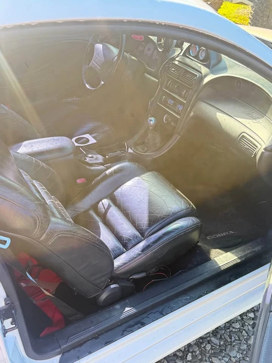 1994 Ford SN95 Mustang Cobra - Image 5 of 10