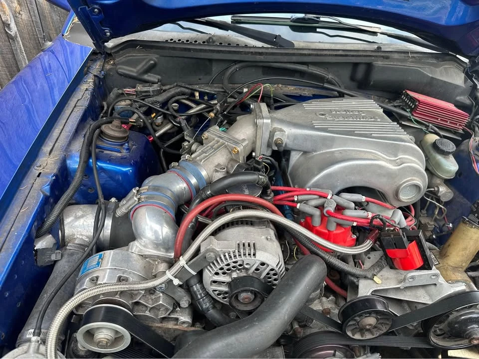1994 Ford SN95 Mustang Cobra - Image 5 of 5