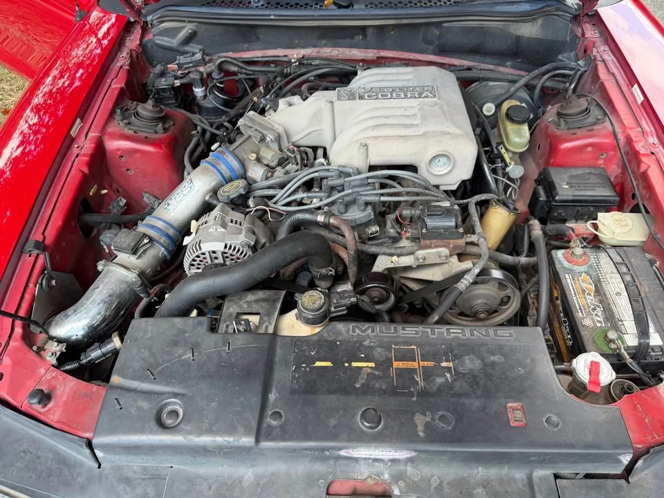 1994 Ford SN95 Mustang Cobra - Image 7 of 12