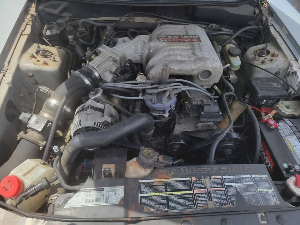 1994 Ford SN95 Mustang Cobra - Image 5 of 8