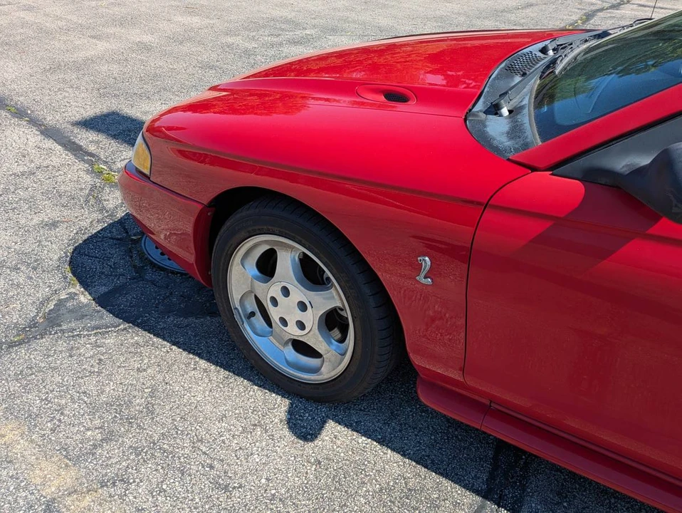 1994 Ford SN95 Mustang Cobra - Image 12 of 14