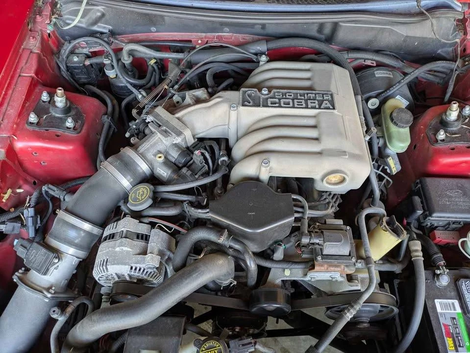 1994 Ford SN95 Mustang Cobra - Image 2 of 14