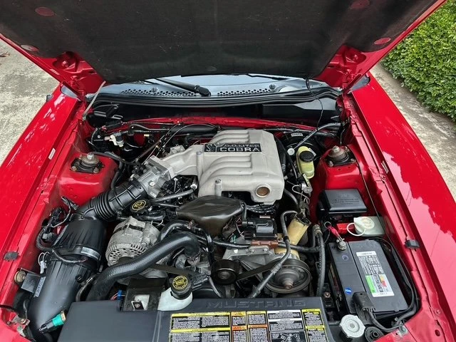 1994 Ford SN95 Mustang - Image 5 of 6