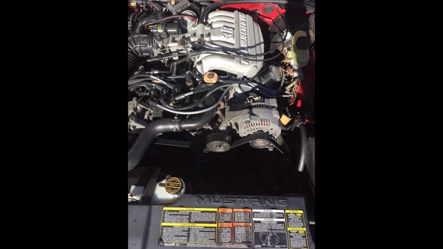 1994 Ford SN95 Mustang - Image 8 of 12