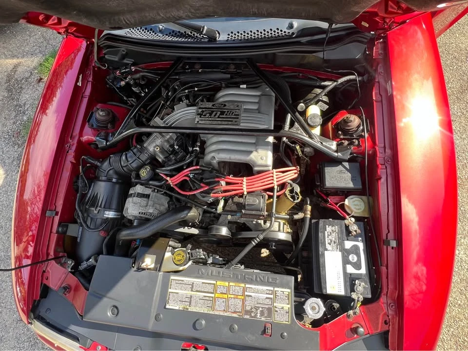 1994 Ford SN95 Mustang - Image 11 of 13