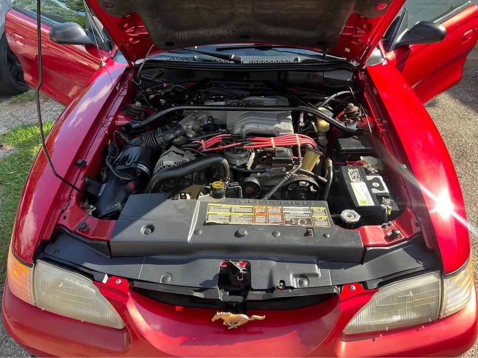 1994 Ford SN95 Mustang - Image 10 of 13