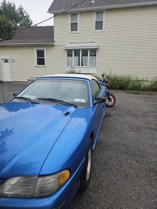 1994 Ford SN95 Mustang - Image 3 of 9