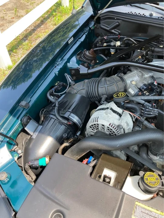 1994 Ford SN95 Mustang - Image 3 of 11