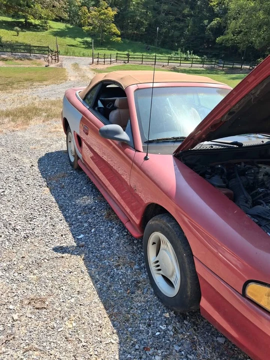 1994 Ford SN95 Mustang - Image 2 of 6