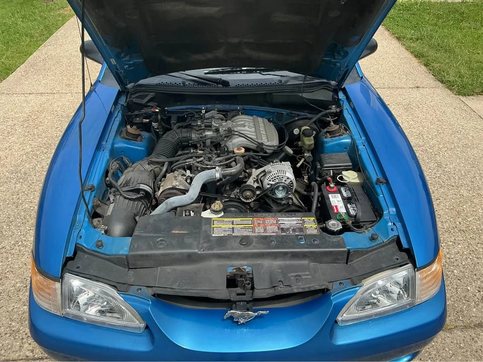 1994 Ford SN95 Mustang - Image 12 of 20