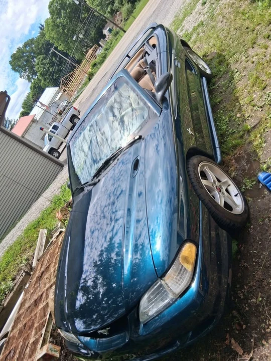 1994 Ford SN95 Mustang - Image 6 of 9