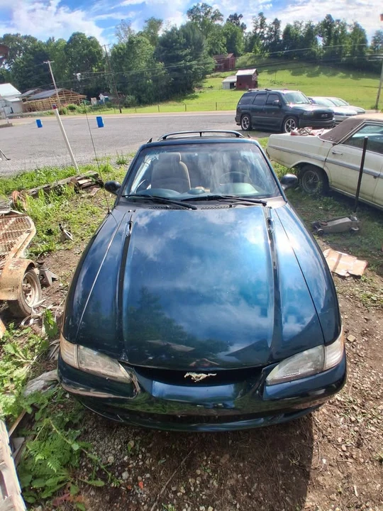 1994 Ford SN95 Mustang - Image 5 of 9