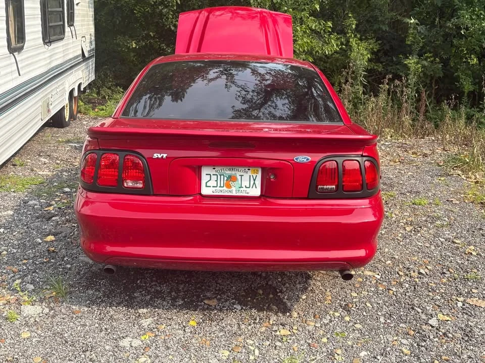 1994 Ford SN95 Mustang - Image 3 of 8