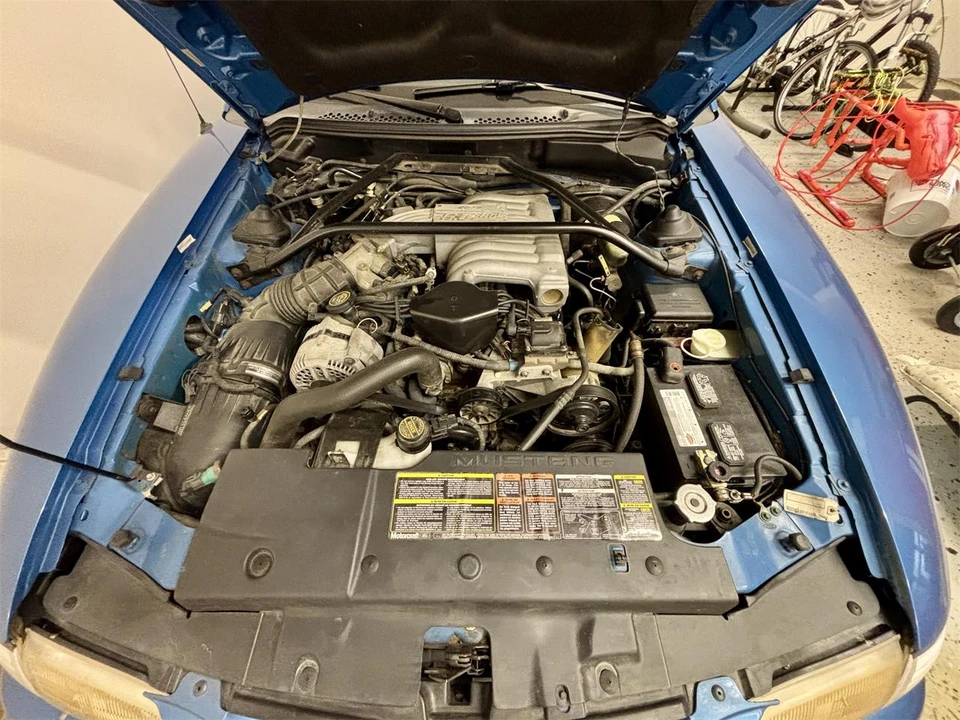 1994 Ford SN95 Mustang - Image 14 of 20