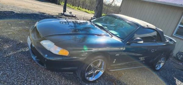 1994 Ford SN95 Mustang - Image 3 of 14