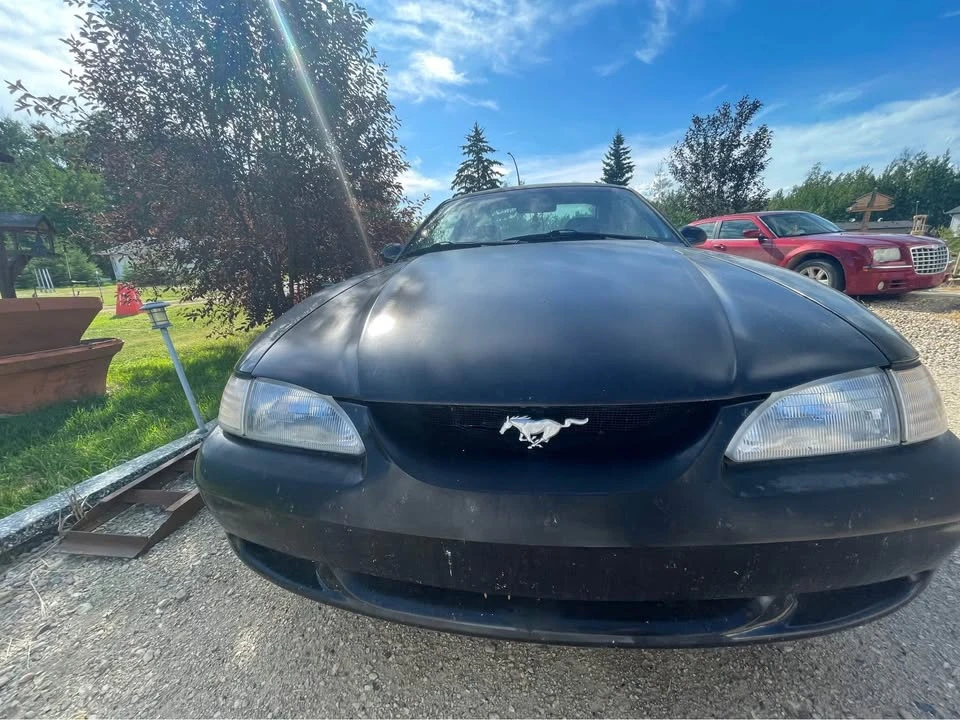 1994 Ford SN95 Mustang - Image 3 of 7