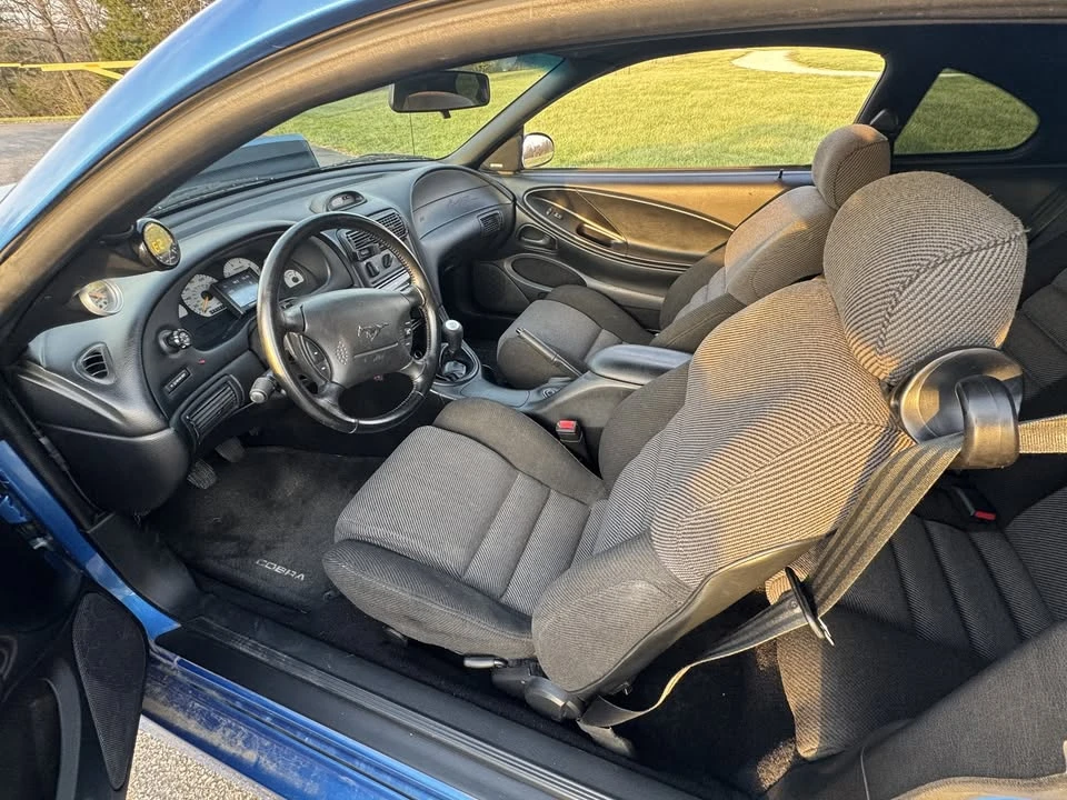 1994 Ford SN95 Mustang - Image 8 of 15