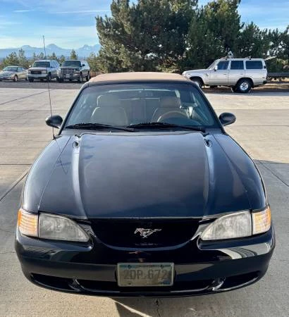 1994 Ford SN95 Mustang - Image 4 of 18