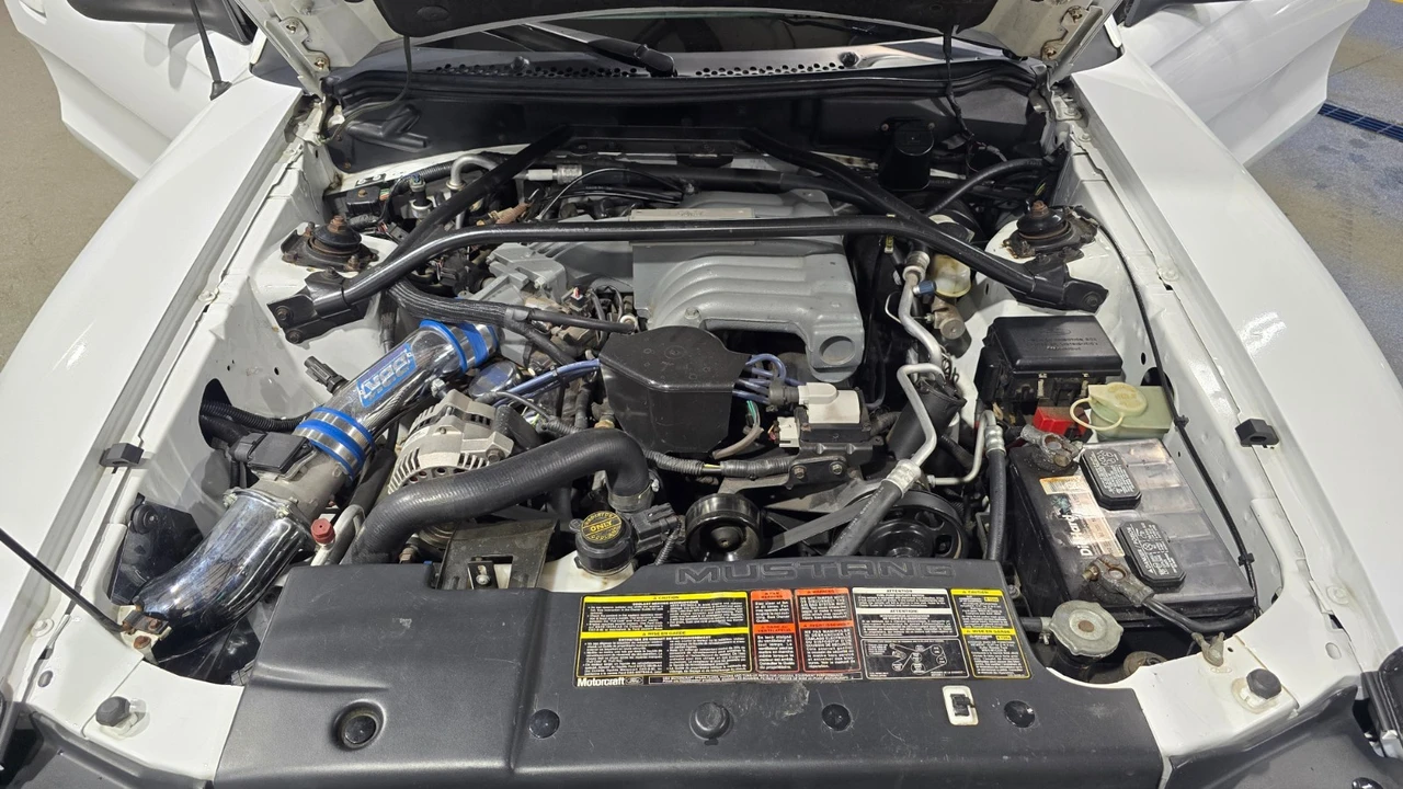 1994 Ford SN95 Mustang - Image 15 of 21
