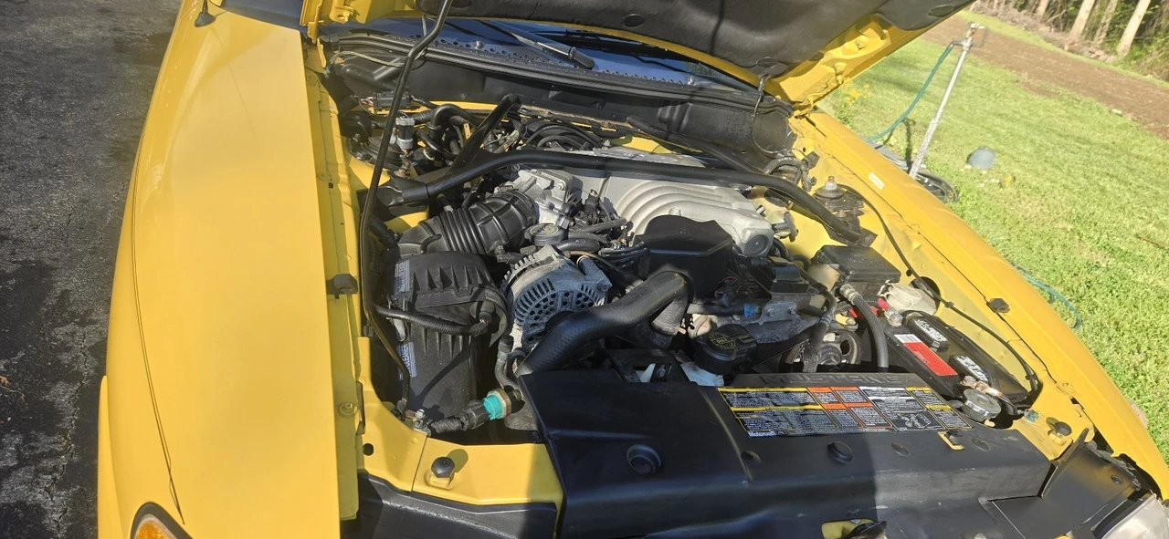 1994 Ford SN95 Mustang - Image 16 of 17