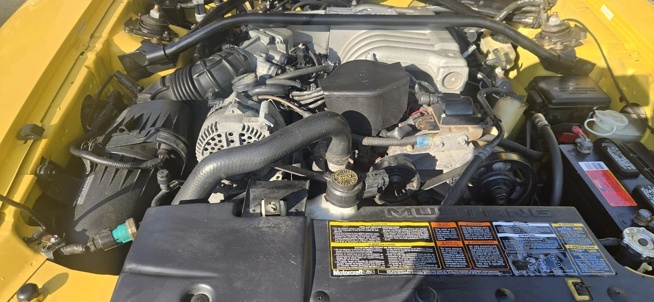 1994 Ford SN95 Mustang - Image 17 of 17