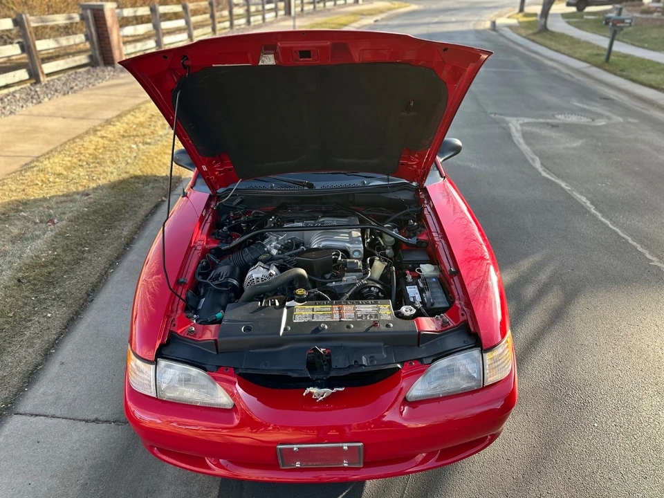 1994 Ford SN95 Mustang - Image 10 of 21