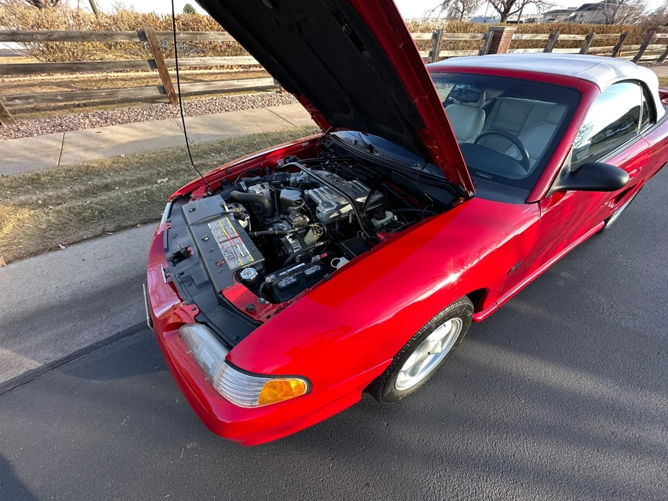 1994 Ford SN95 Mustang - Image 9 of 21