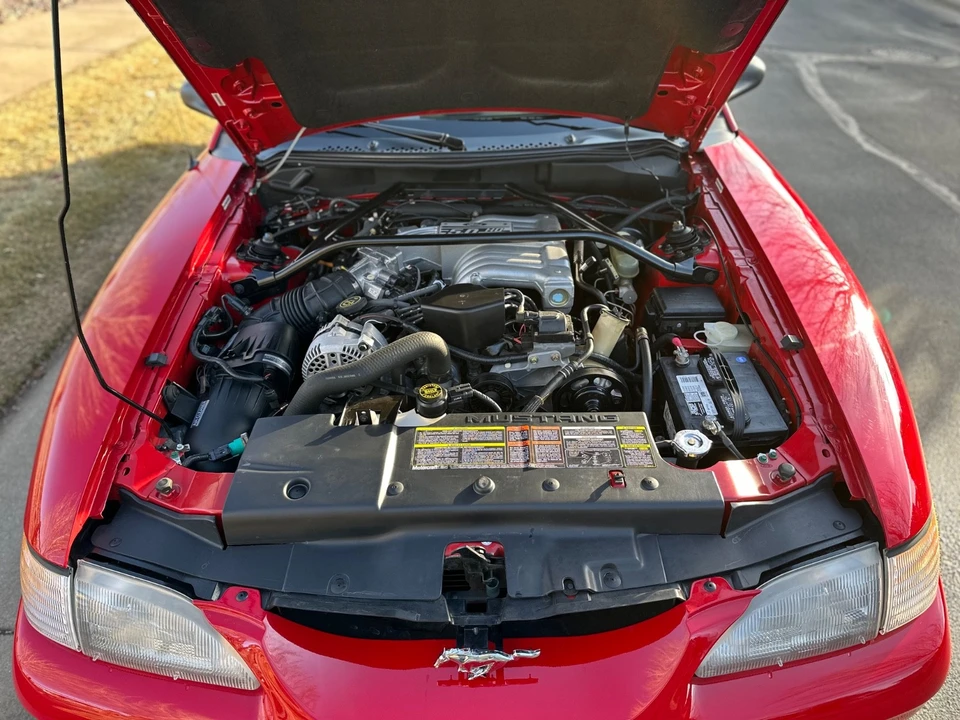 1994 Ford SN95 Mustang - Image 12 of 21