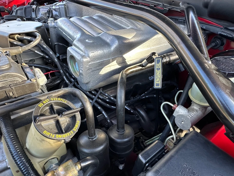 1994 Ford SN95 Mustang - Image 8 of 21