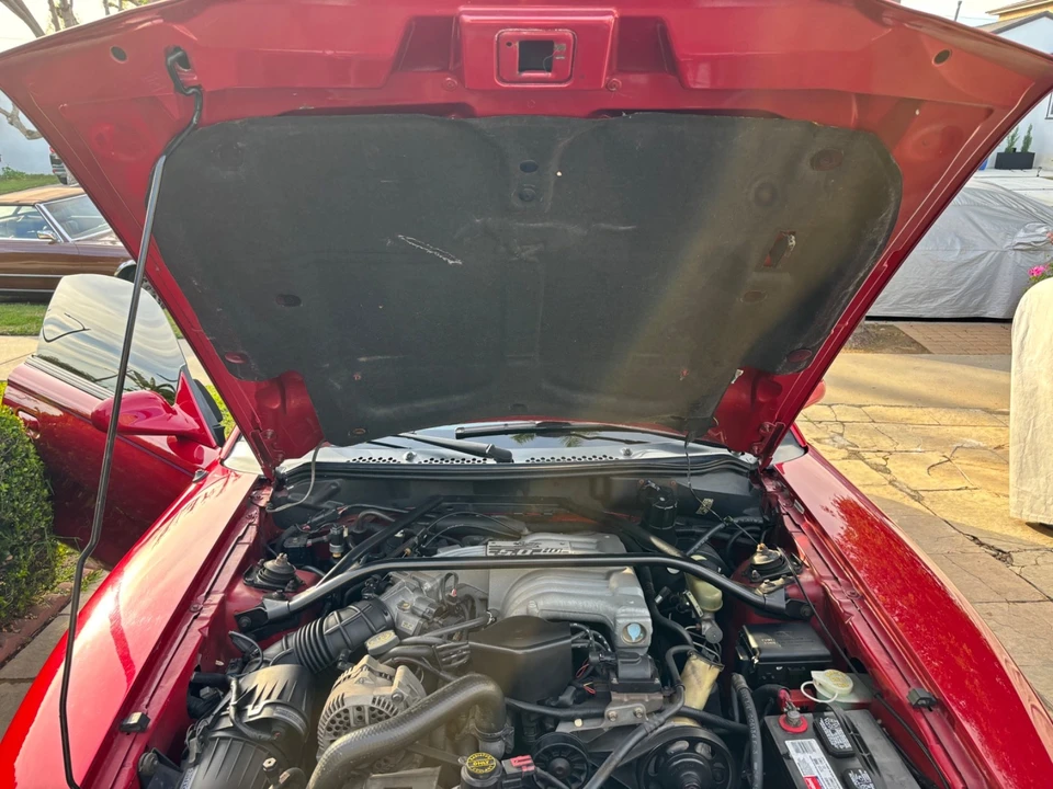 1994 Ford SN95 Mustang - Image 17 of 19