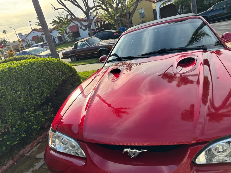 1994 Ford SN95 Mustang - Image 2 of 19