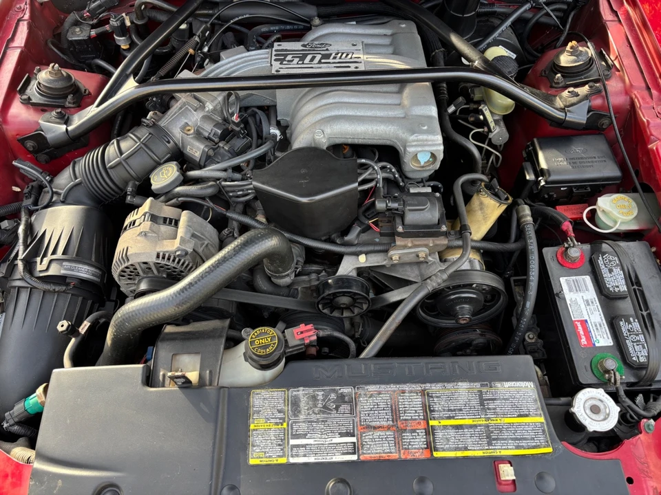 1994 Ford SN95 Mustang - Image 13 of 19