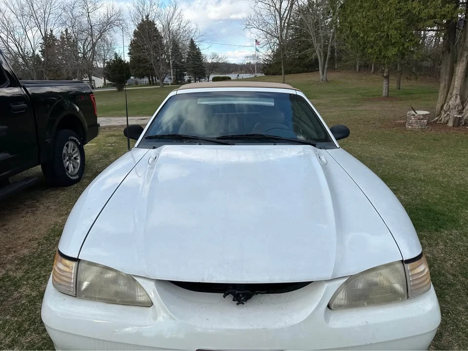1994 Ford SN95 Mustang - Image 3 of 8