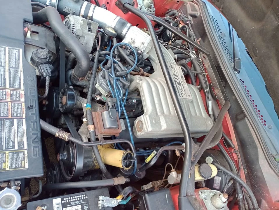 1994 Ford SN95 Mustang - Image 3 of 7