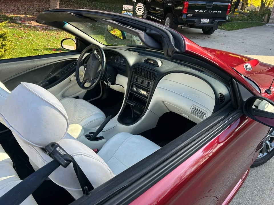 1994 Ford SN95 Mustang - Image 8 of 13