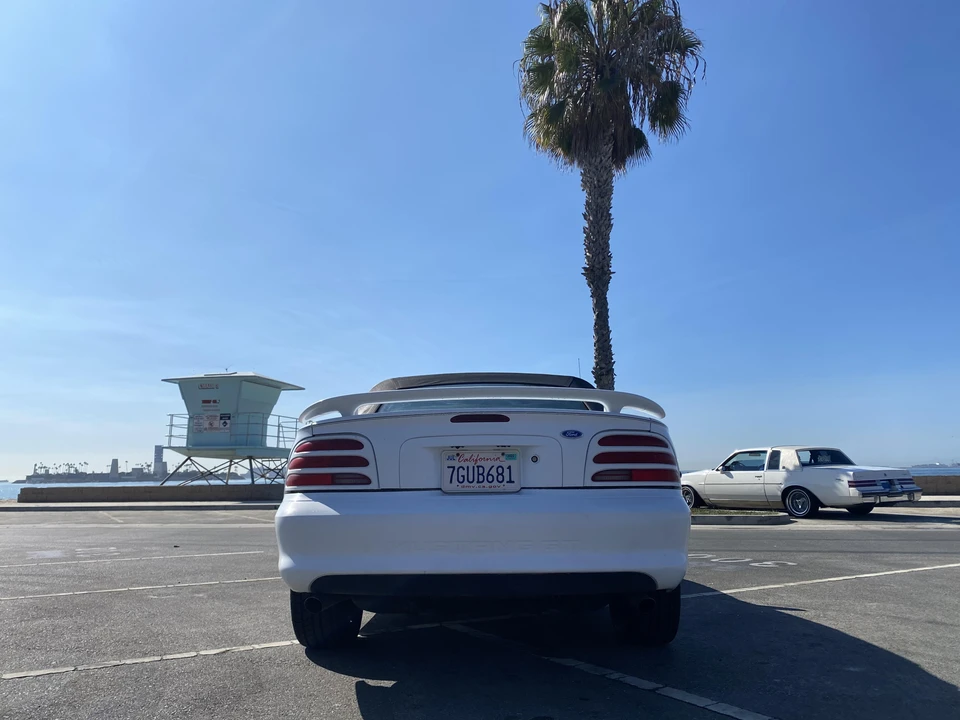 1994 Ford SN95 Mustang - Image 28 of 31