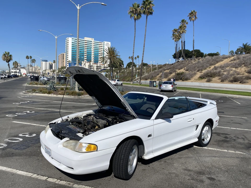 1994 Ford SN95 Mustang - Image 13 of 31