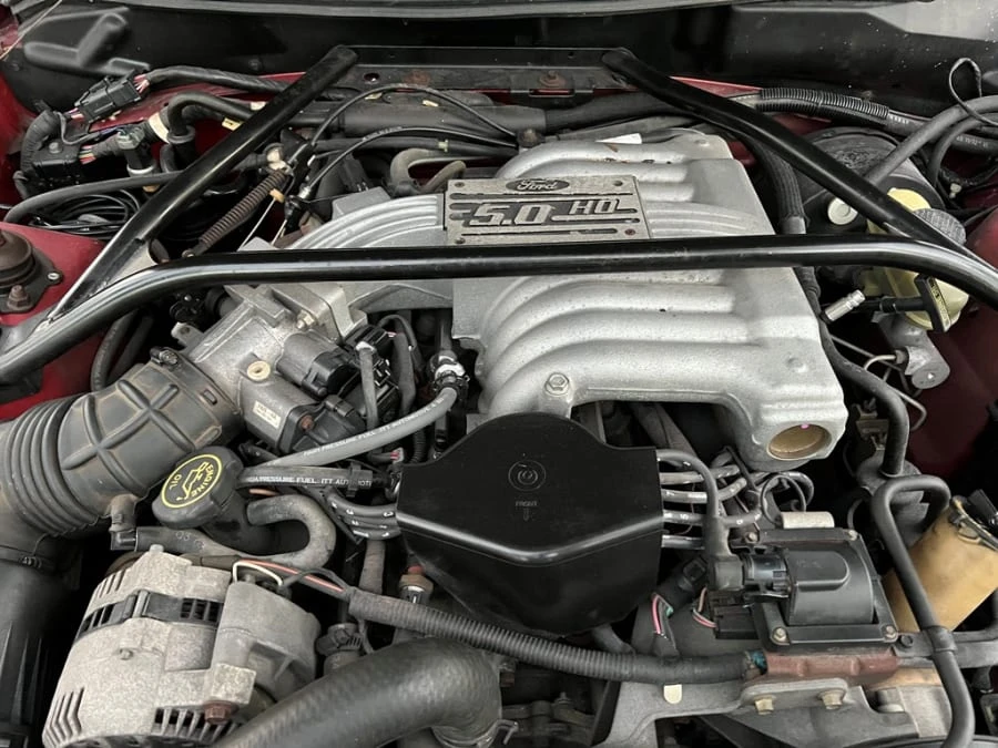 1994 Ford SN95 Mustang - Image 13 of 14