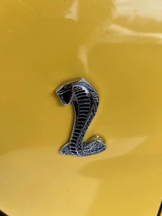 1994 Ford SN95 Mustang - Image 27 of 31